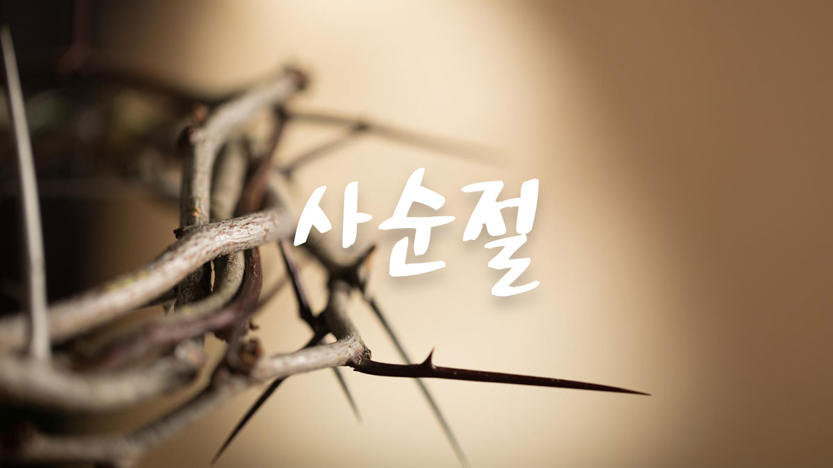 사순절 새벽기도회 안내